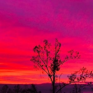 Meet your Posher, Tabitha